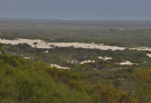 Molah Hill Lookout景点图片