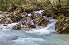 魔法森林-拉姆绍