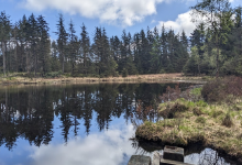 Grizedale Forest - Forestry England景点图片
