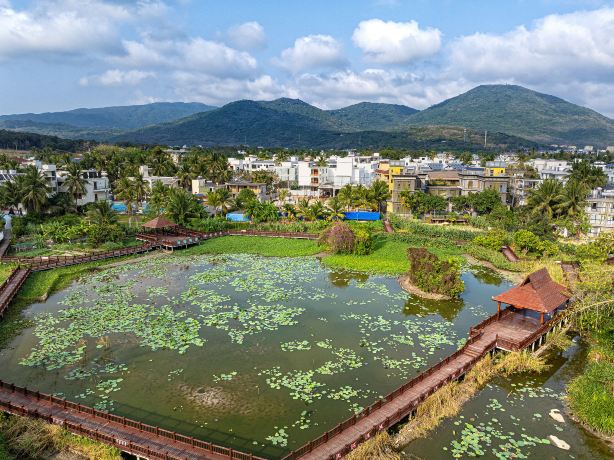 博后村