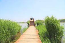 白洋淀风景区-雄县