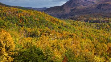 Great Smoky Mountains National Park