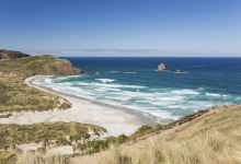 Sandfly Bay Track景点图片