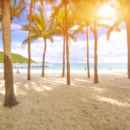 海口+琼海+万宁+三亚+儋州6日5晚拼小团