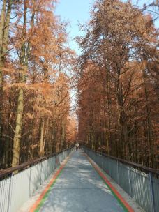 青山湖-杭州-真诚7577