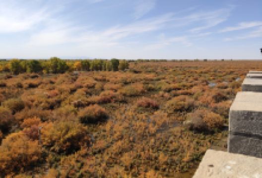 中国金塔沙漠胡杨林景区-烽火台景点图片