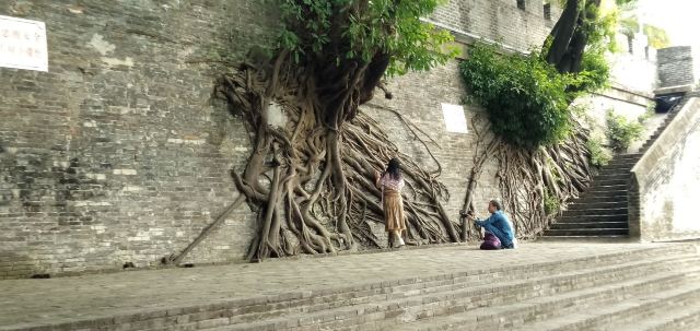 南宁古城墙旅行图片 12