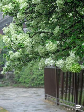 吐血整理这个季节常熟虞山文化旅游度假区最美赏花攻略，五一不愁没地儿打卡啦！