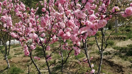 月亮灣森林公園