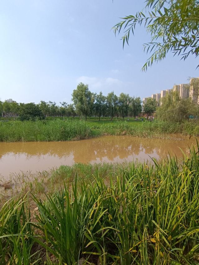 长安城市公园(樊川公园)旅行图片 2