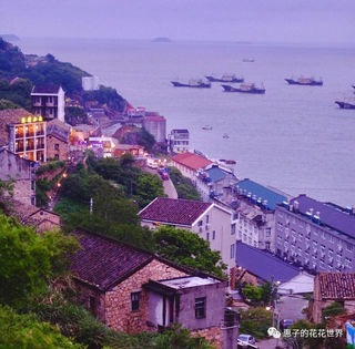 梦幻马卡龙 — 温岭小箬村