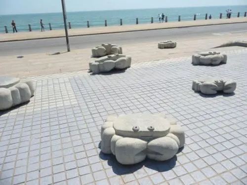 海趣园旅行图片 3