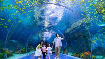 Shanghai Haichang Ocean Park
