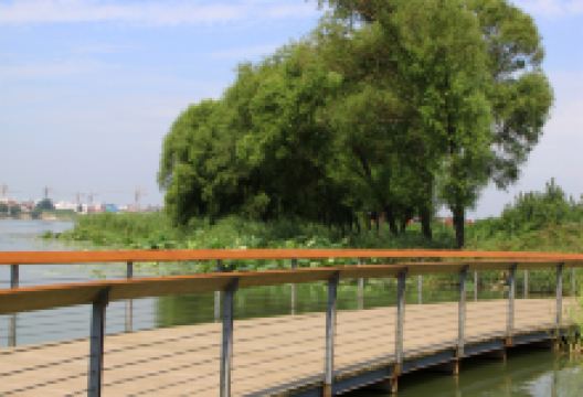 北河公园景点图片