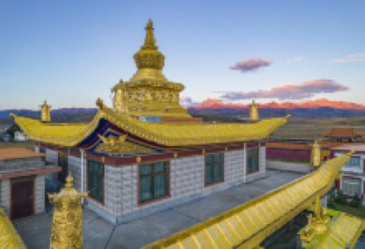 木雅金塔景点图片