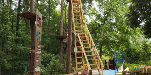 大奇山瘋狂螞蟻冒險森林樂園