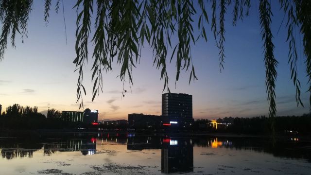 丽景湖公园旅行图片 5