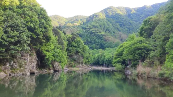 水西國家森林公園