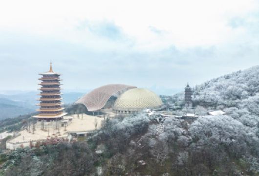 南京总统府+纪念馆+大报恩寺+牛首山一日活动【无购物】【南京经典景点，高性价比！】