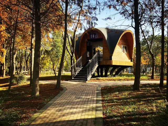 上海漕泾郊野公园旅行图片 1