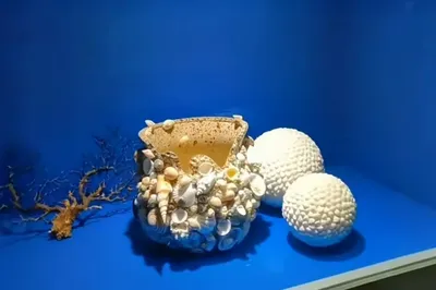 亚龙湾贝壳馆