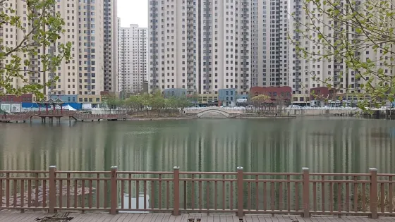 荷花池公園