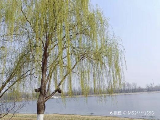 林西体育公园