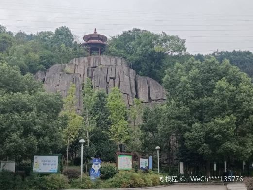 东山公园