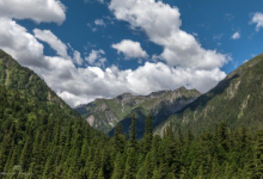 王朗国家级自然保护区景点图片