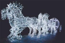 滨湖国家森林公园-合肥