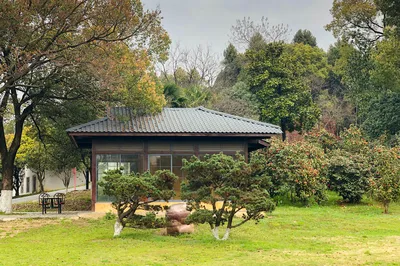 马鞍山森林公园