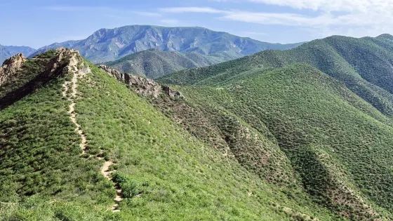 大青山