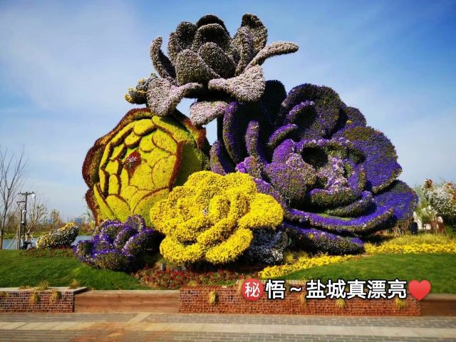 中华海棠园旅行图片 1
