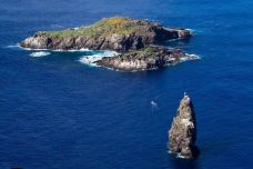 复活节岛-复活节岛-想飞的鱼0627