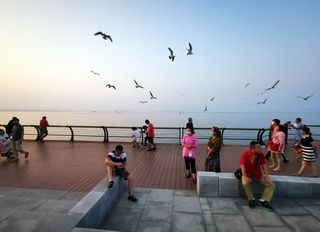 云游四海（1392）夜游大连东方水城