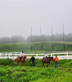 阿苏市游记图文-福冈到熊本阿苏，魔戒中密林和旷野一般的草原牧场两日游，此生一定要体验的治愈之旅