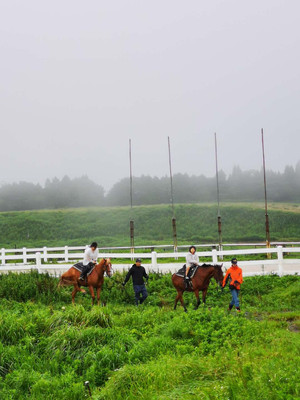福冈到熊本阿苏,魔戒中密林和旷野一般的草原牧场两日游,此生一定要体验的治愈之旅