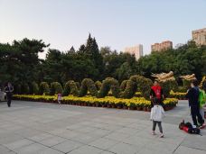 中山公园-沈阳-kuokuo429