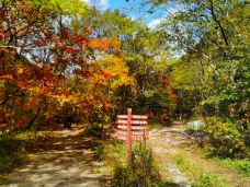 蒲石河森林公园-凤城-素心如雪lavender