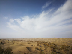 新疆游记图片] 单人单车穿越死亡之海，到底有多危险？