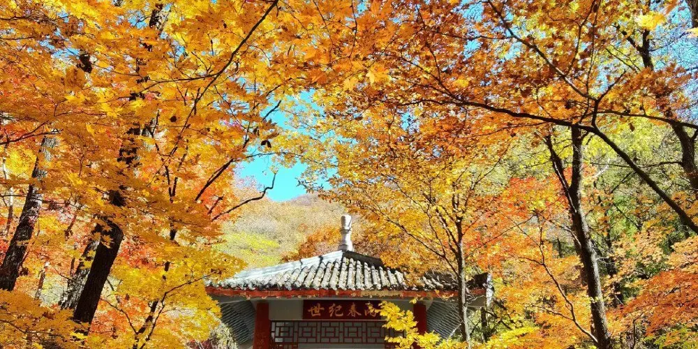 永安旅遊