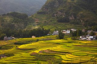 韩武成：秋到漩涡镇