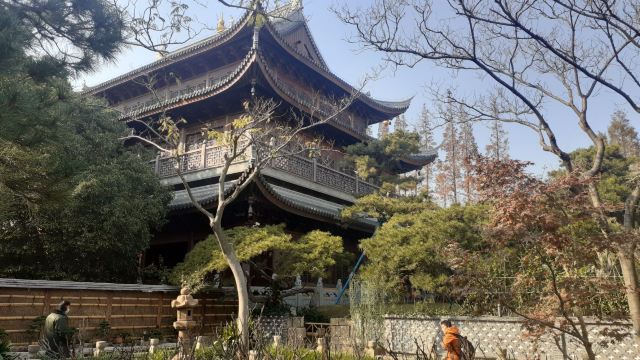 龙华塔旅行图片 2
