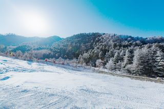 南方的雪乡,大山深处的秘境,秦岭雪乡一起跨越2021