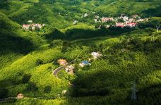 大洞竹海-盘州-C-IMAGE