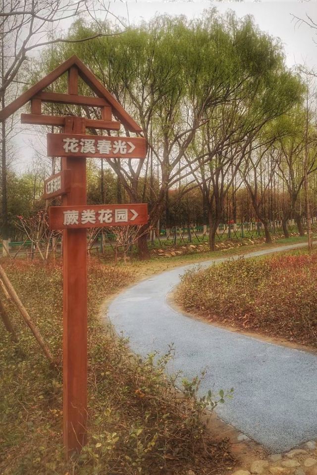 合庆郊野公园旅行图片 2
