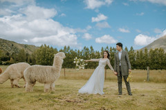 奥克兰游记图片] 有哪些适合旅行结婚的地方？新西兰海外婚礼