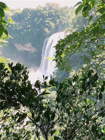 贵州旅游口碑好导游,贵州品质好导游,贵州评价好导游,贵州信誉好导游,导游篇