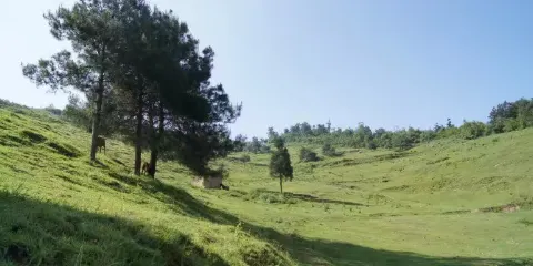 巴山大峽谷景區-桃溪谷景區