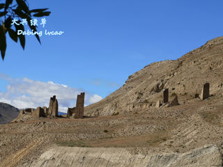 穿行山南看措美、洛扎 ——2020秋西藏新疆青海自驾游记(八)